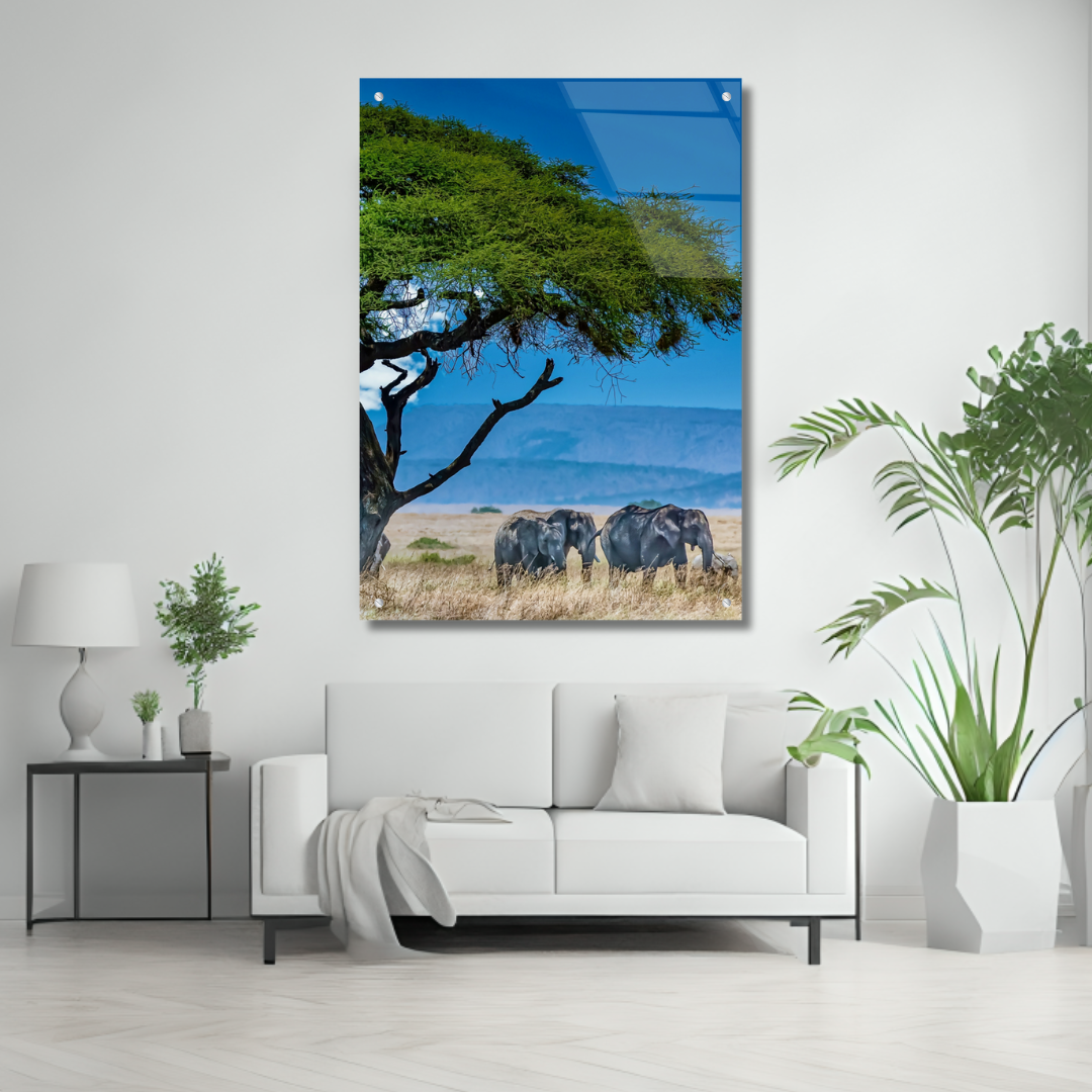 African Savanna - Glass Wall Art