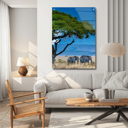 African Savanna - Glass Wall Art