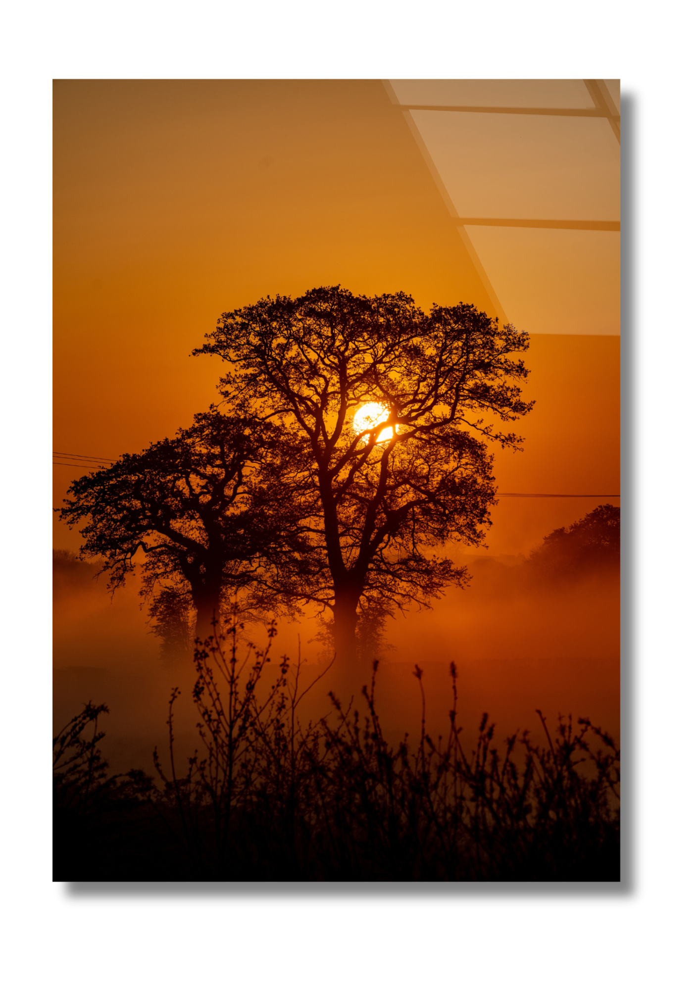 Beautiful African Sunset: Glass Wall Art